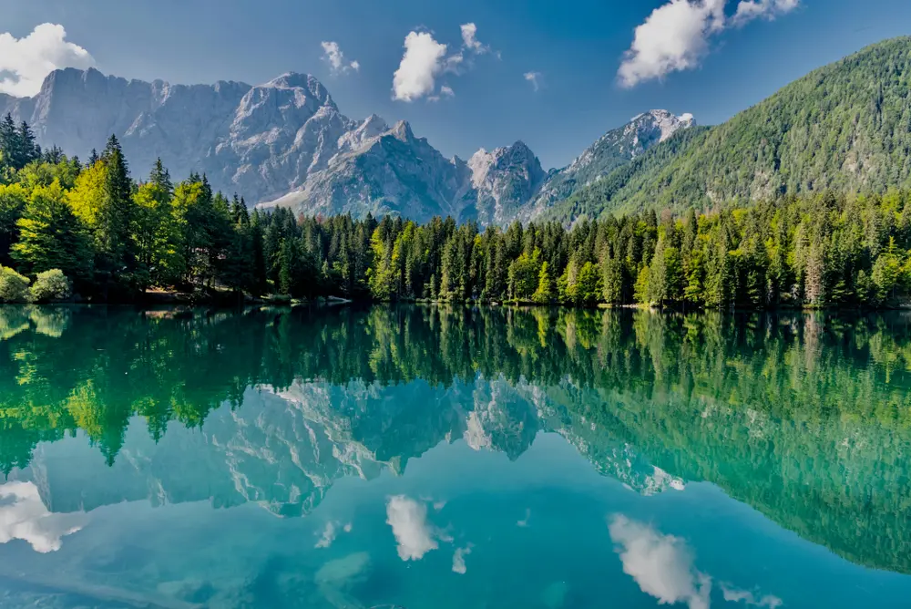 fusineudine-august202018panoraofthefusine