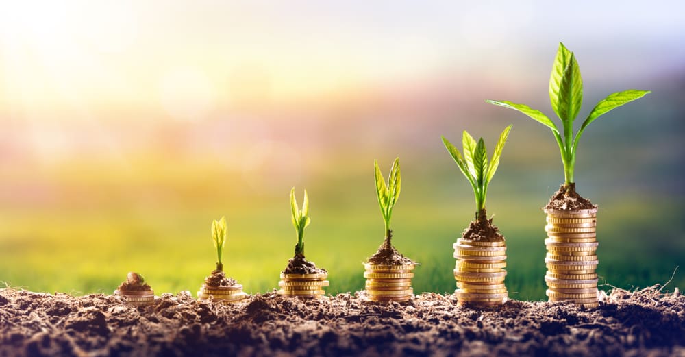 coins-showing-growth