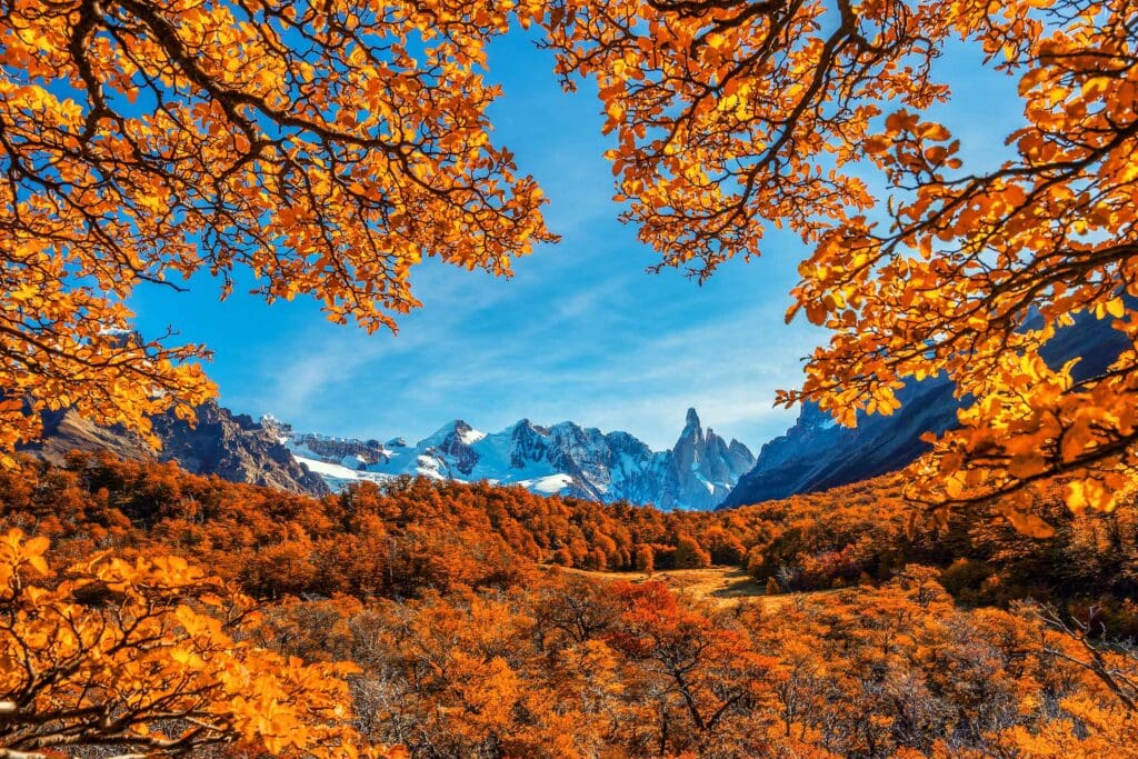 project-delivery_patagonia-argentina-los-glaciares-national-park-stock-photo-630351086-shutterstock-1