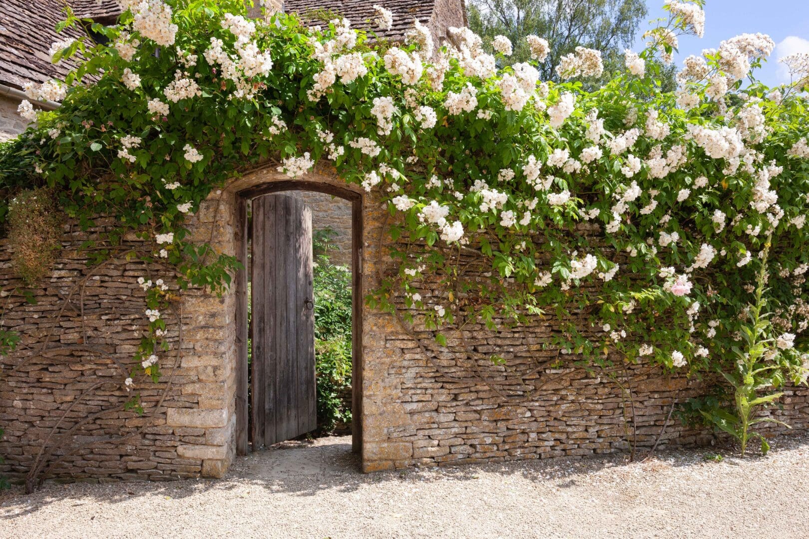 contact-us_rose-covered-garden-wall-gate-cotswolds-1